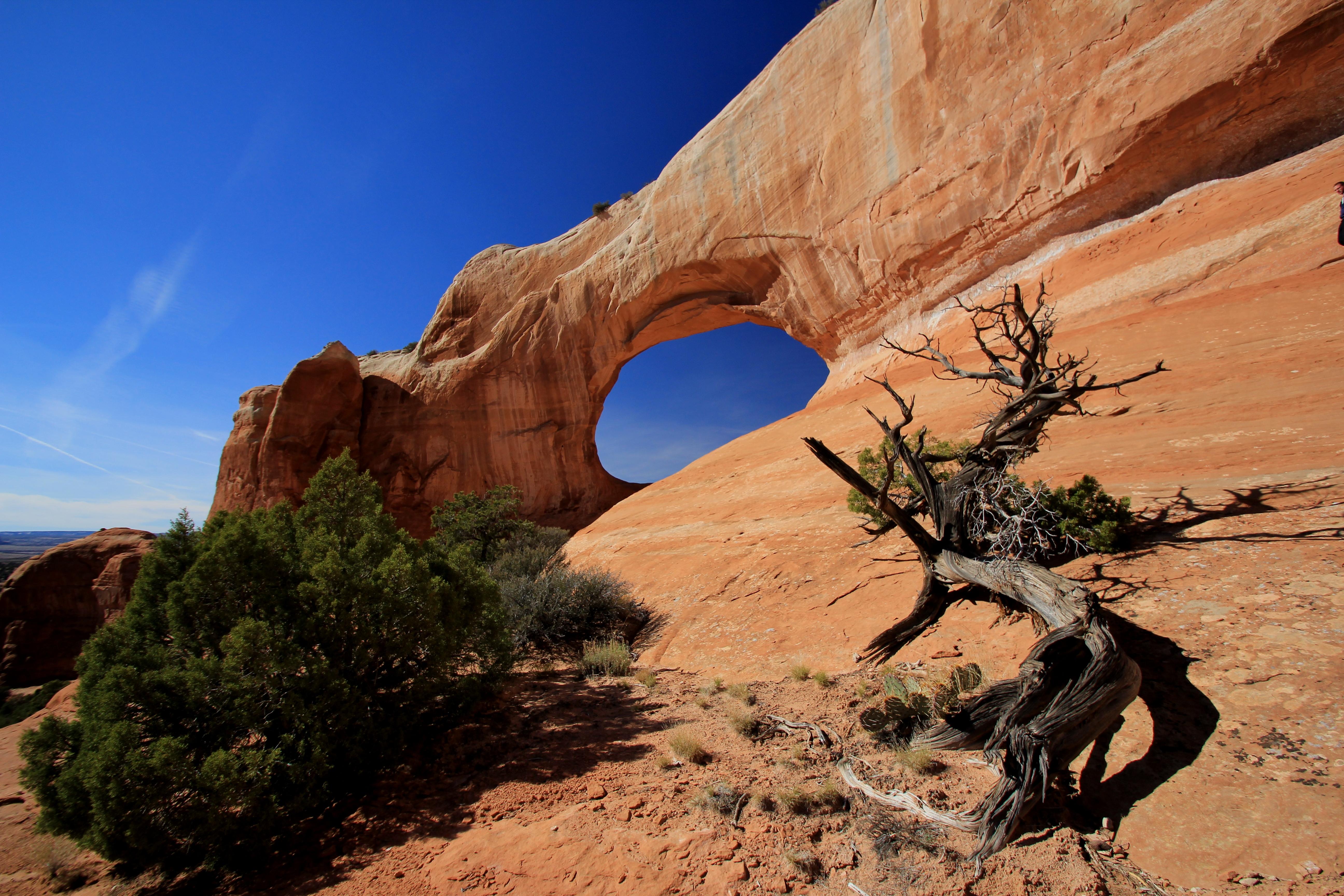Wilson Arch