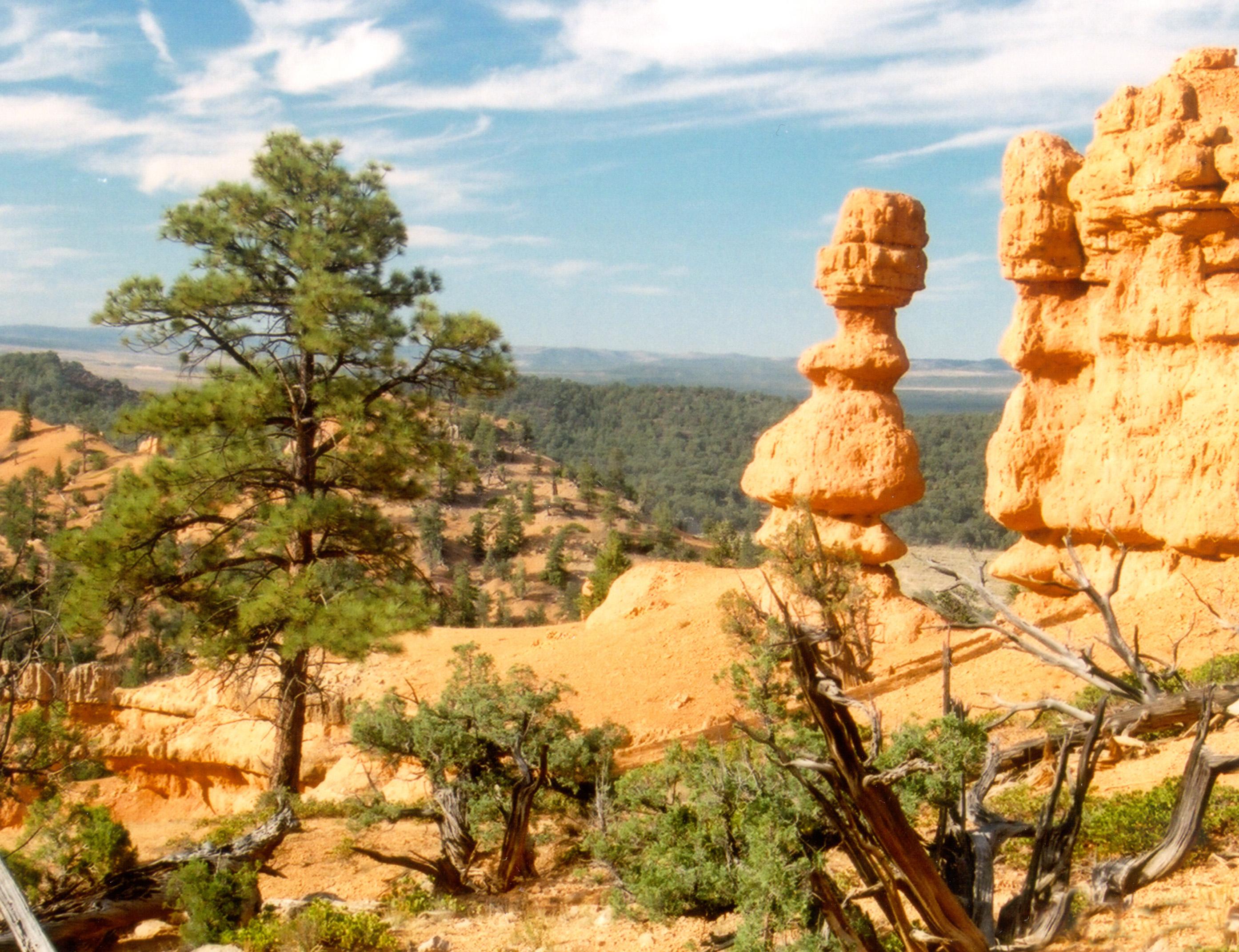 Losee Canyon