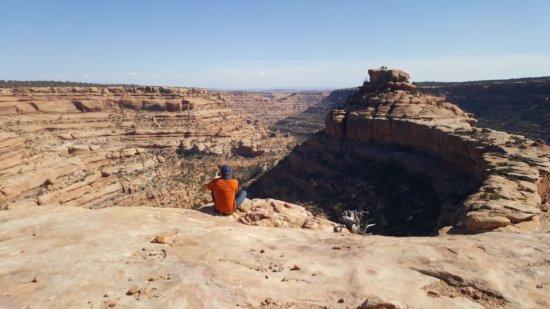 Wild Expeditions