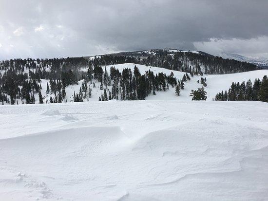 Whisper Ridge Cat Skiing