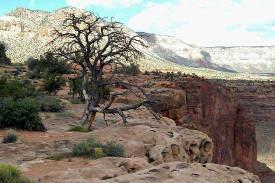 Tuweep Tours