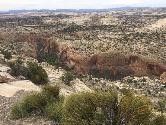 The Hogback