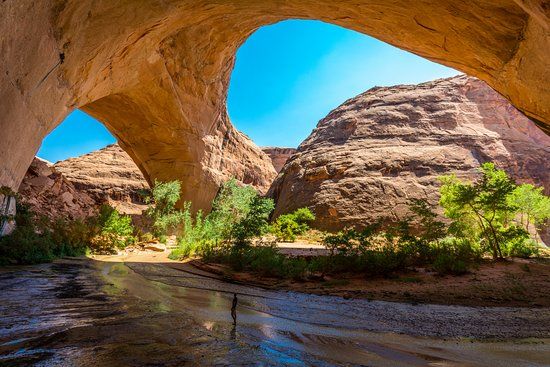 Coyote Gulch