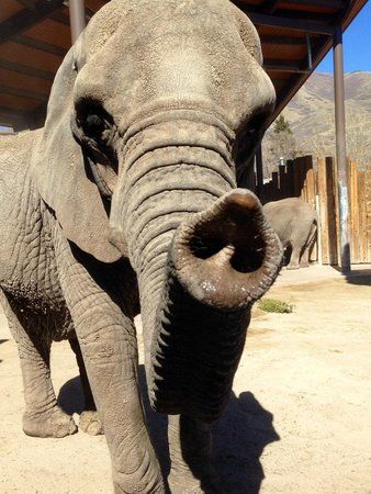 Hogle Zoo