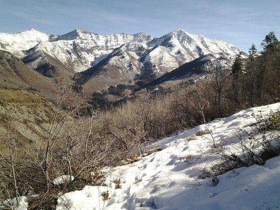 Rock Canyon