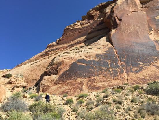 Sand Island Petroglyphs