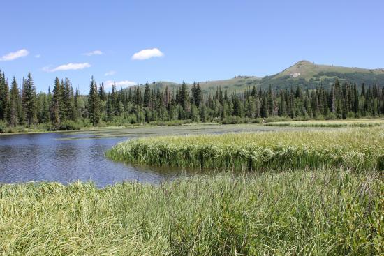 Wasatch-Cache National Forest